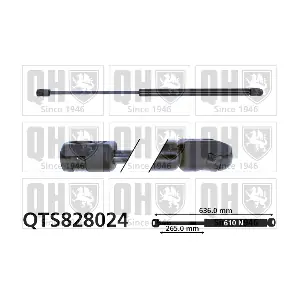 QTS828024 QUINTON HAZELL