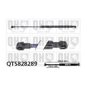 QTS828289 QUINTON HAZELL