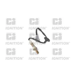 XLOS1251 QUINTON HAZELL