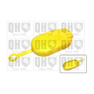 QUINTON HAZELL FC567