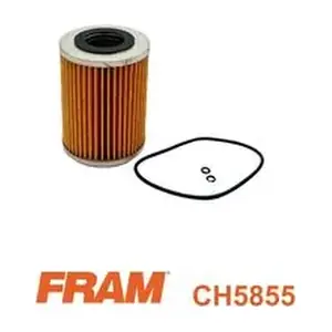 CH5855 FRAM