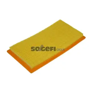 CA10118 FRAM