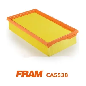 CA5538 FRAM