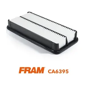 CA6395 FRAM