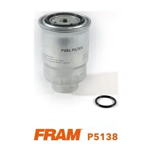 P5138 FRAM