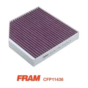 CFP11436 FRAM