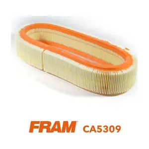CA5309 FRAM