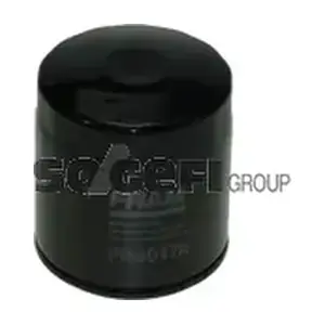 PH6017A FRAM