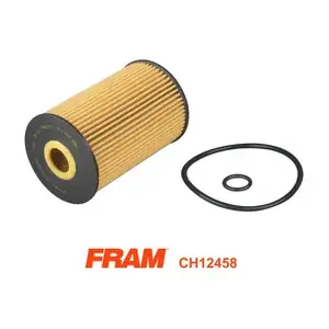 CH12458 FRAM