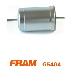 G5404 FRAM