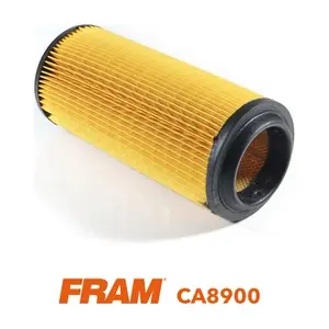 CA8900 FRAM