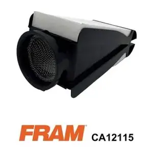 CA12115 FRAM