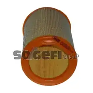 CA2663A FRAM