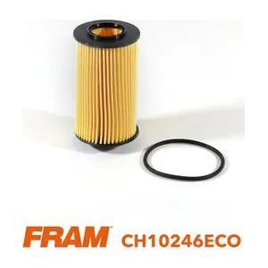 CH10246ECO FRAM