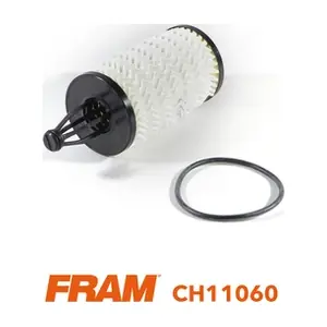 CH11060 FRAM