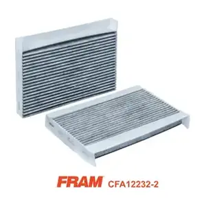 CFA12232-2 FRAM
