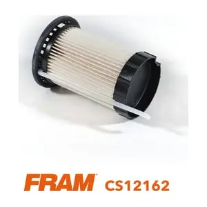 CS12162 FRAM