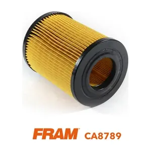 CA8789 FRAM