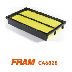 CA6828 FRAM