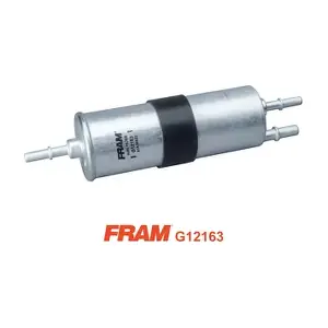G12163 FRAM