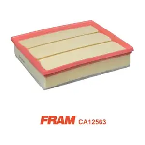CA12563 FRAM