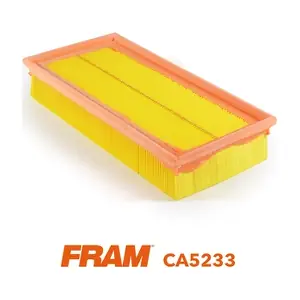 CA5233 FRAM