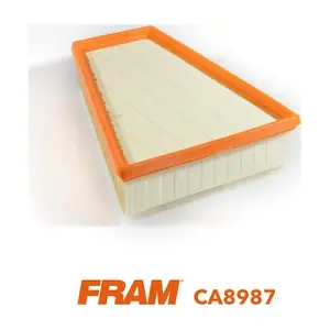 CA8987 FRAM