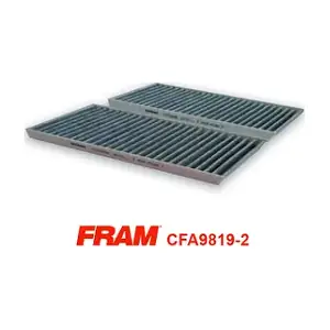 CFA9819-2 FRAM