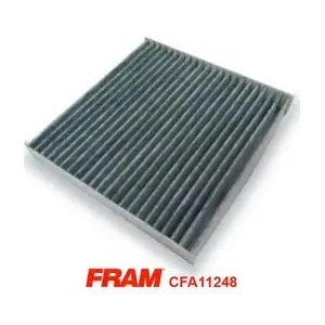 CFA11248 FRAM