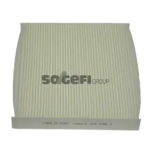 CF10381 FRAM