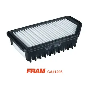CA11206 FRAM