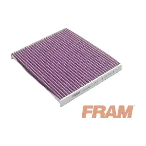 CFP10365 FRAM