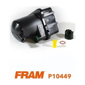 P10449 FRAM