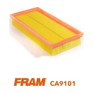 CA9101 FRAM