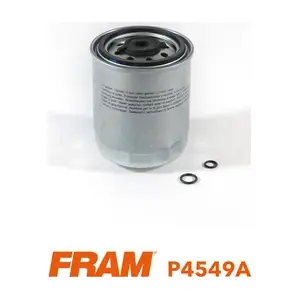 P4549A FRAM