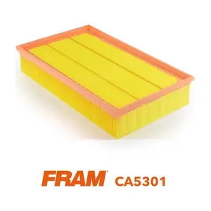 CA5301 FRAM