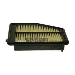 CA11113 FRAM