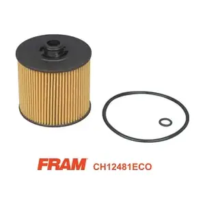 CH12481ECO FRAM
