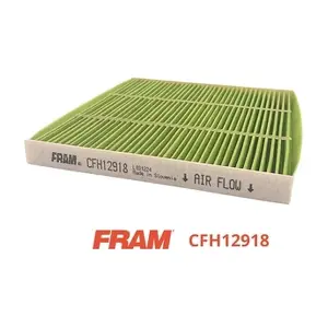CFH12918 FRAM