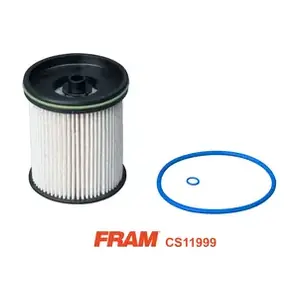 CS11999 FRAM