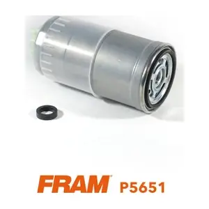 P5651 FRAM