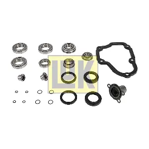 462 0156 10 Schaeffler LuK