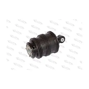 750170 VITAL SUSPENSIONS