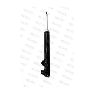 25728 VITAL SUSPENSIONS
