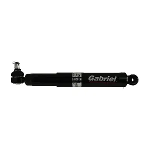 15001 Gabriel-MX