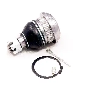 IB117045 IBERIS