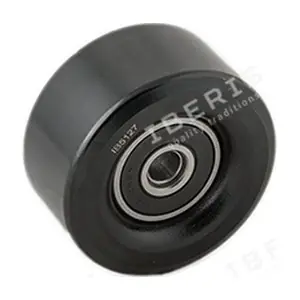 IB5127 IBERIS