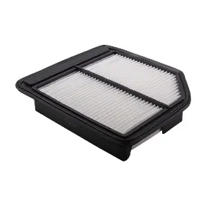 IB771035 IBERIS