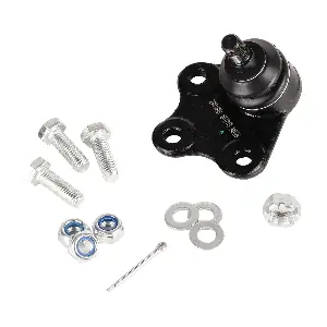 IB117113 IBERIS