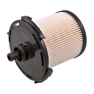 IB773050 IBERIS
